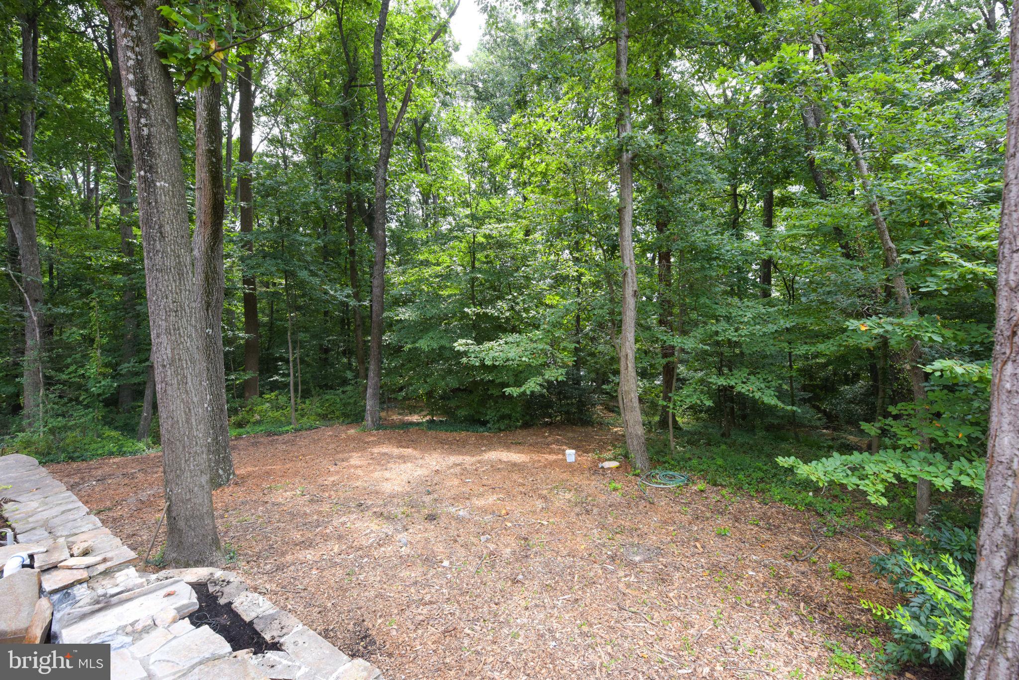 8919 Arley Drive Springfield, VA 22153 - Photo 41 of 54