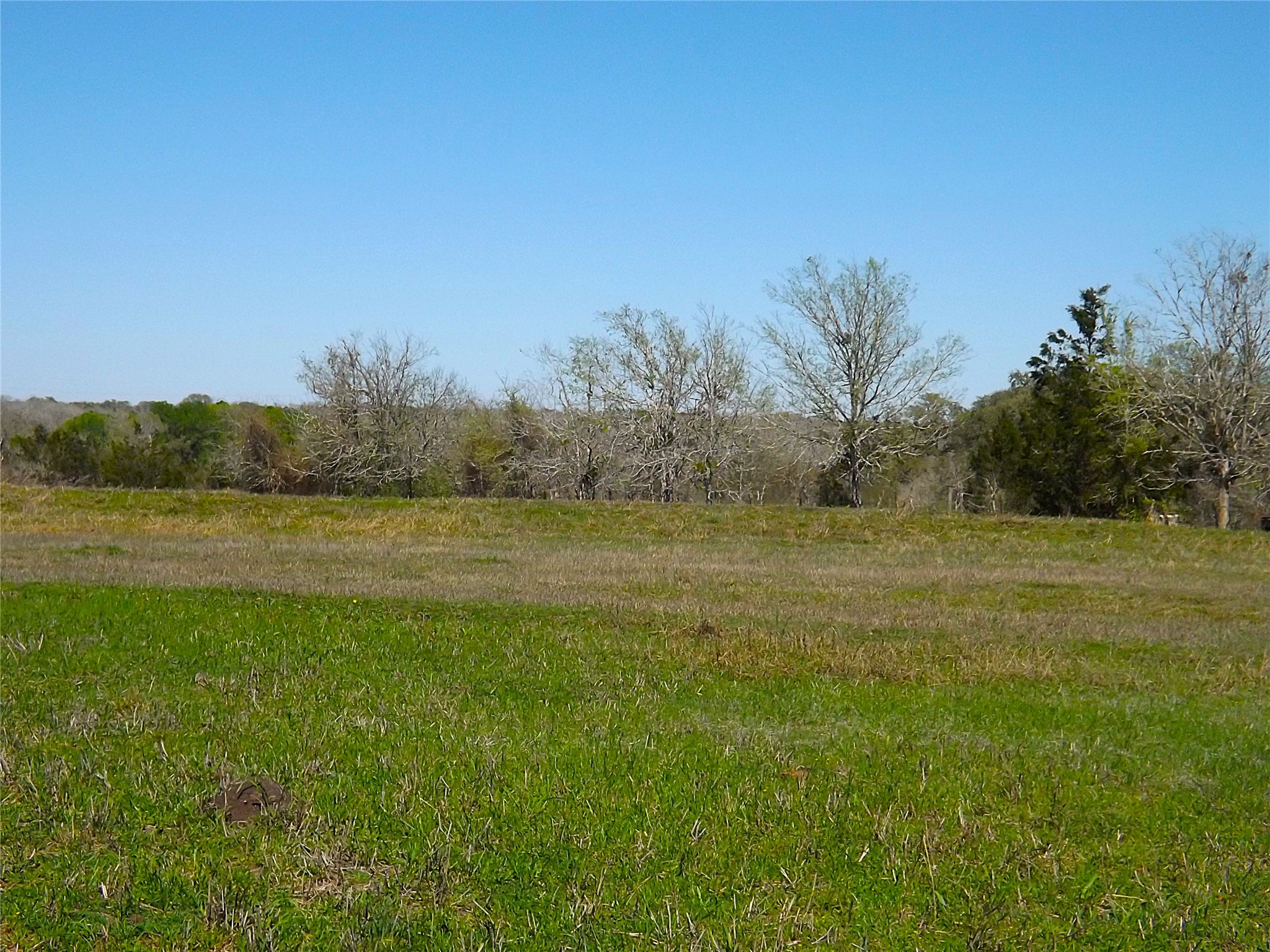 1649 County Road 209 Weimar, TX 78962 - Photo 21 of 27 a view of a lake view