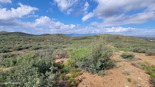 a view of a yard with an trees