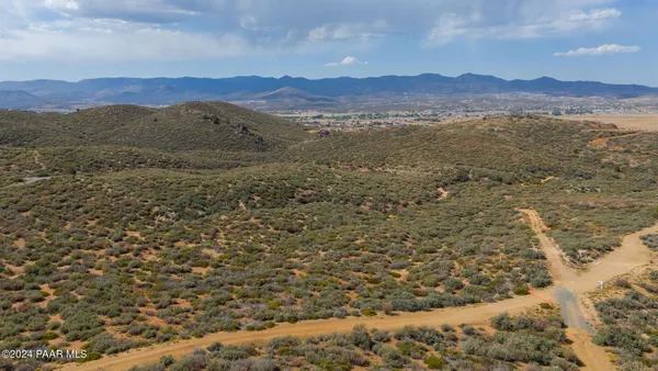 a view of a forest with mountains in the background