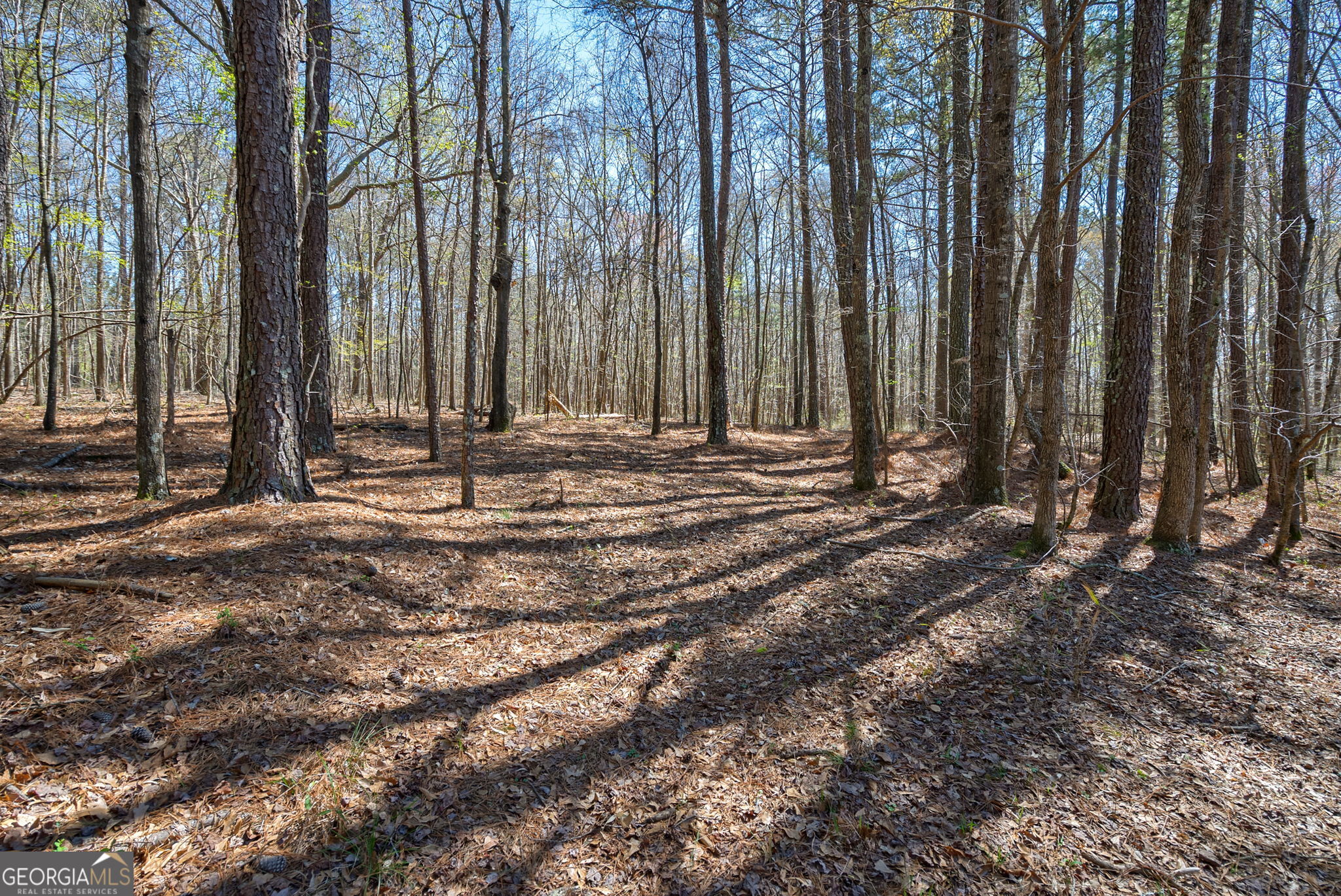 0 Poplar Street Monroe, GA 30655 - Photo 11 of 20