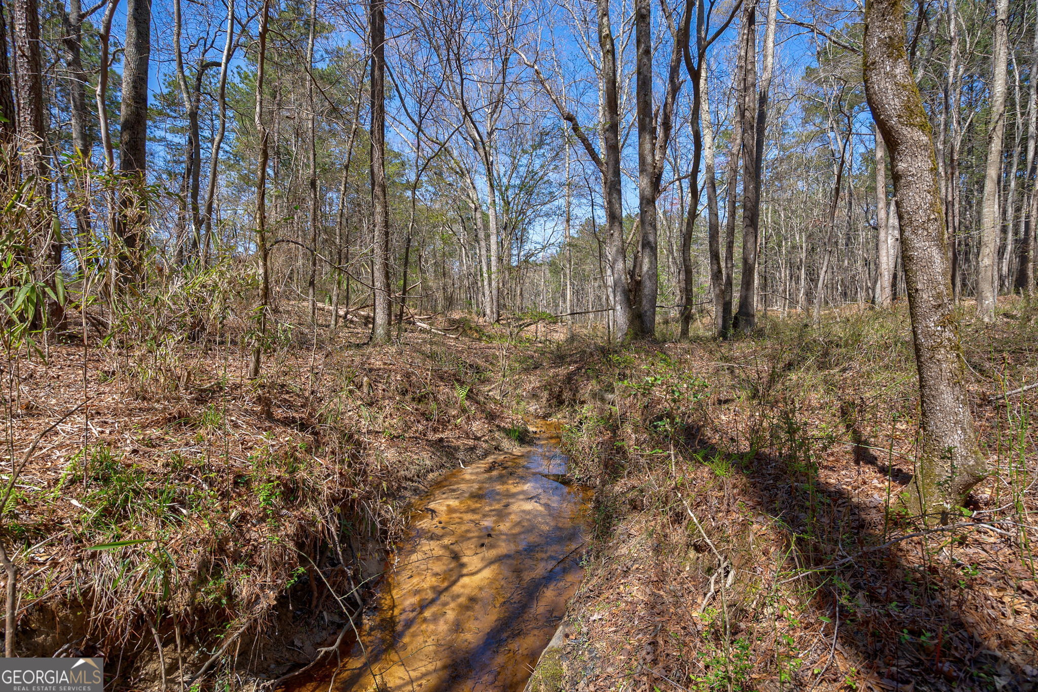 0 Poplar Street Monroe, GA 30655 - Photo 12 of 20