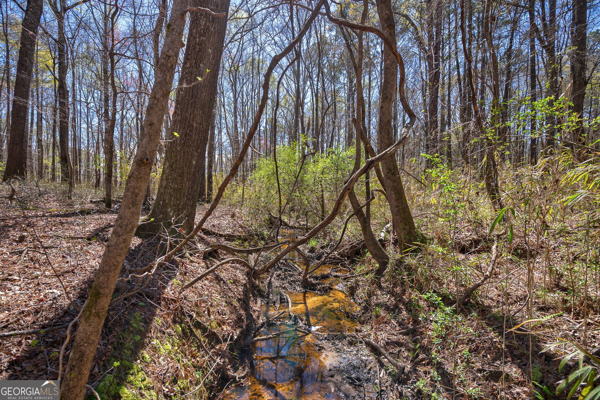 0 Poplar Street Monroe, GA 30655 - Photo 13 of 20