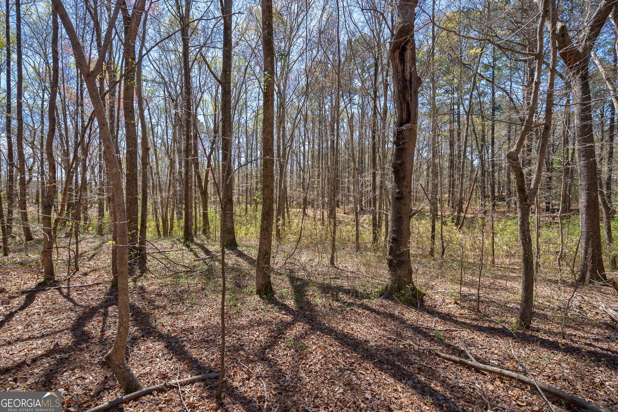 0 Poplar Street Monroe, GA 30655 - Photo 14 of 20