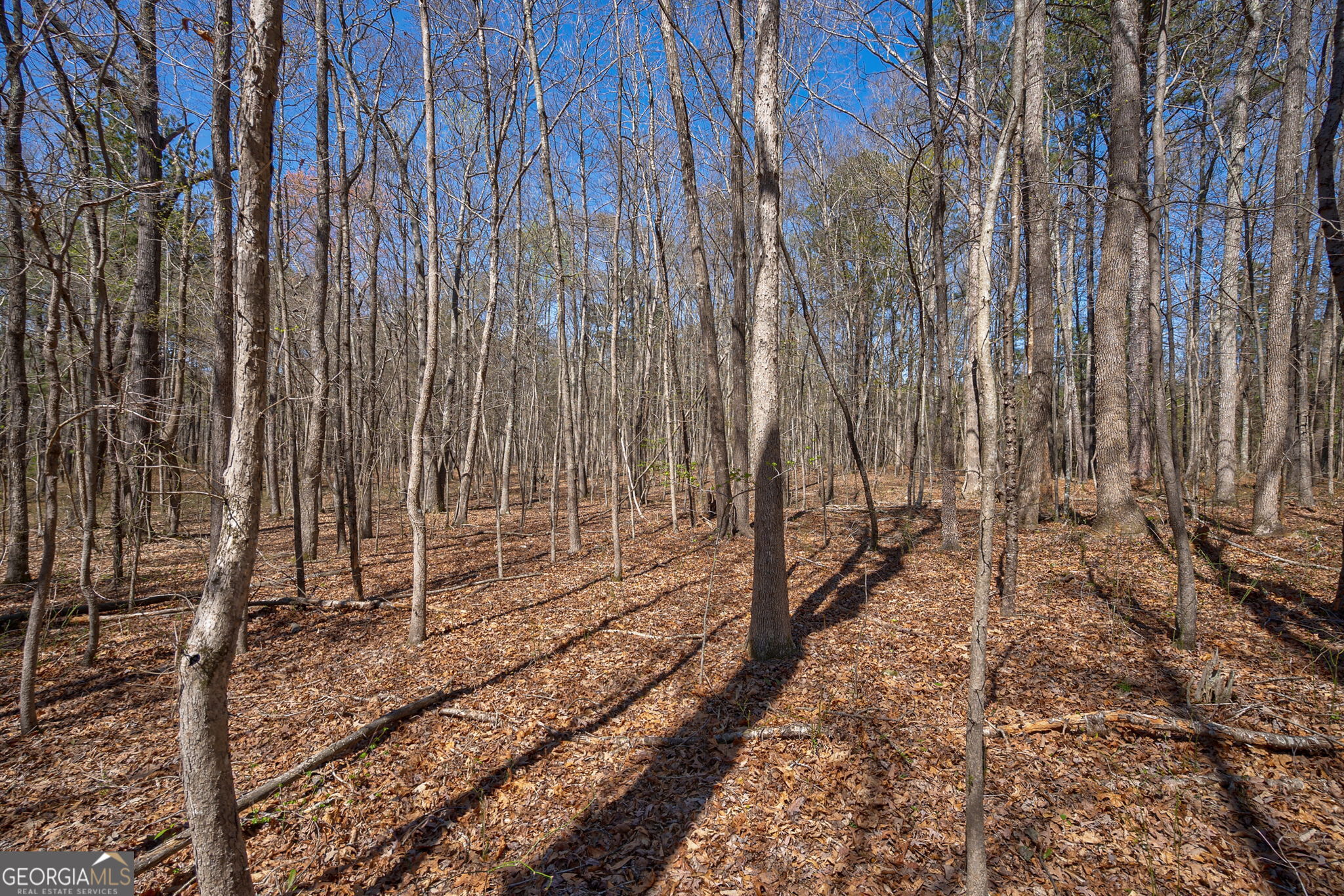 0 Poplar Street Monroe, GA 30655 - Photo 15 of 20