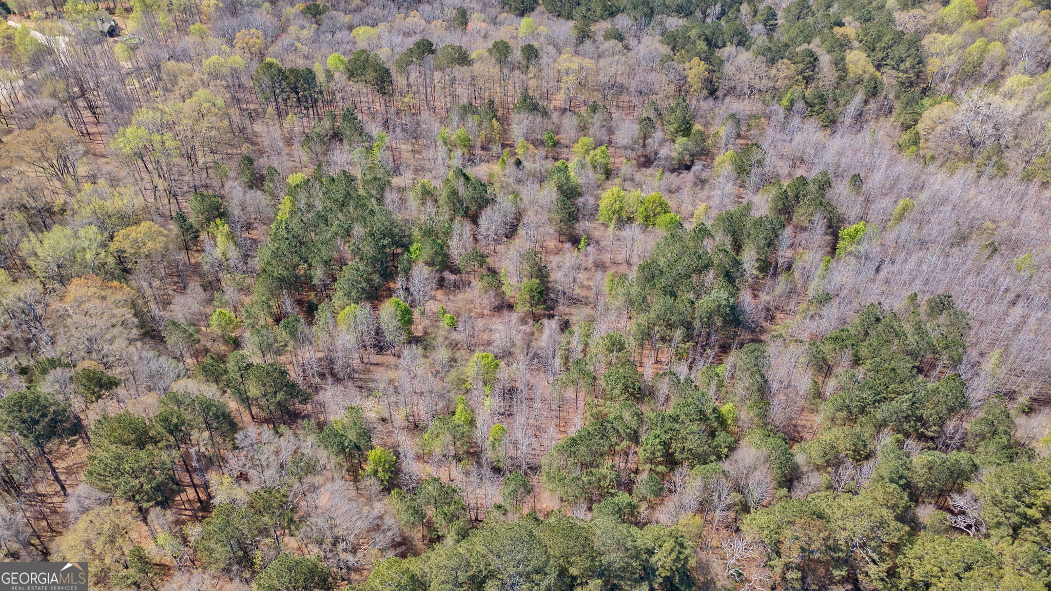 0 Poplar Street Monroe, GA 30655 - Photo 18 of 20