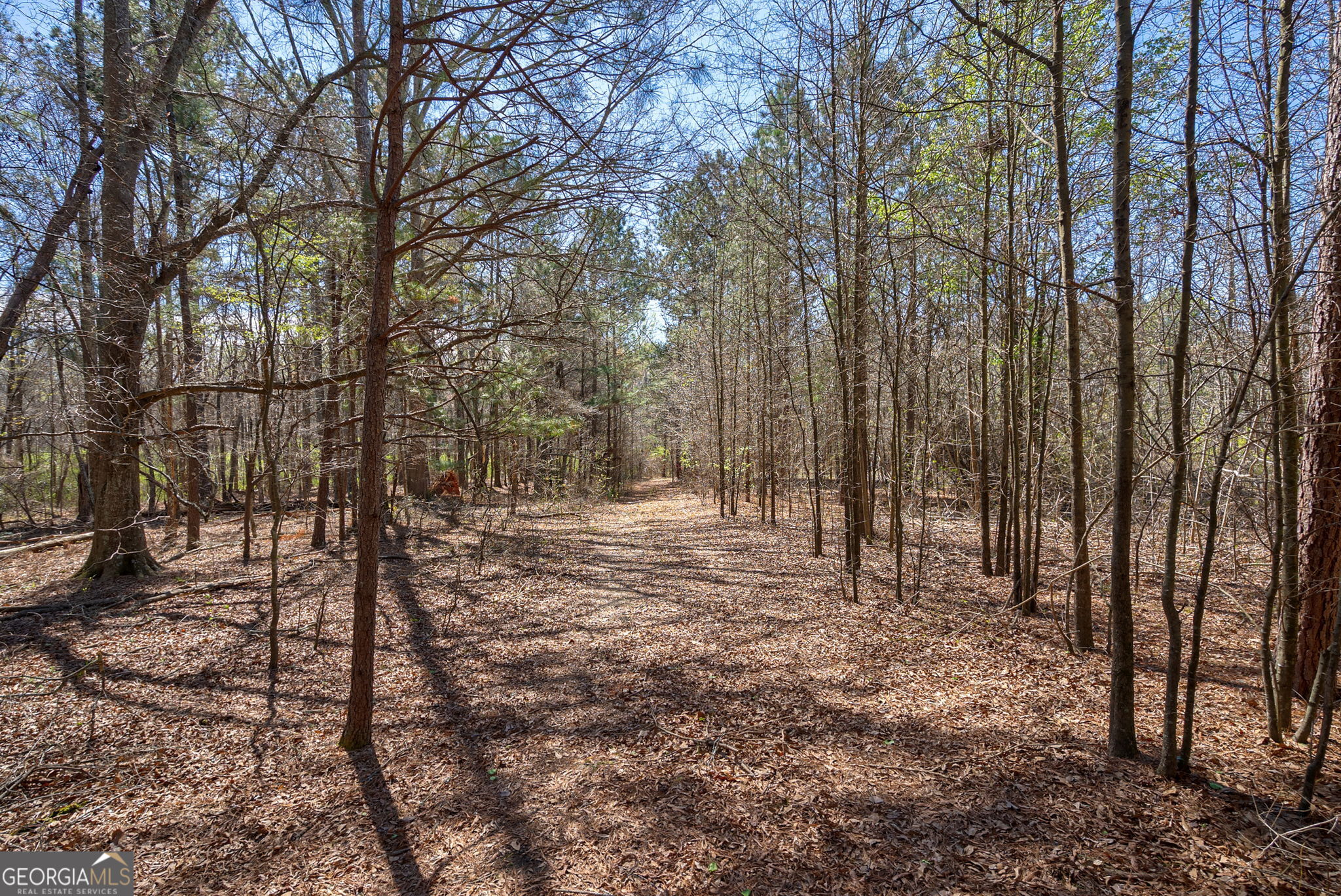0 Poplar Street Monroe, GA 30655 - Photo 5 of 20