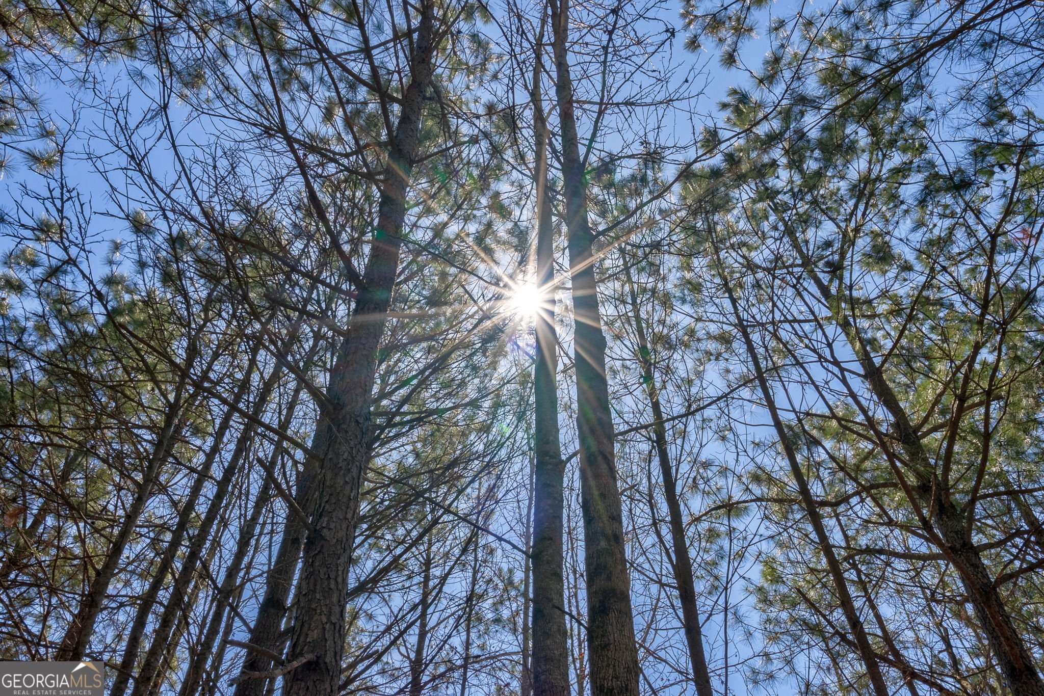 0 Poplar Street Monroe, GA 30655 - Photo 7 of 20