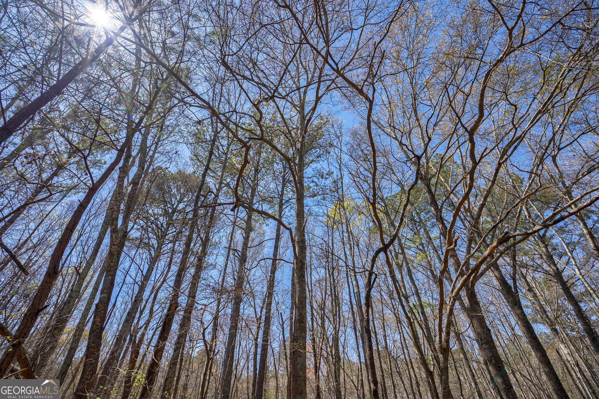 0 Poplar Street Monroe, GA 30655 - Photo 8 of 20