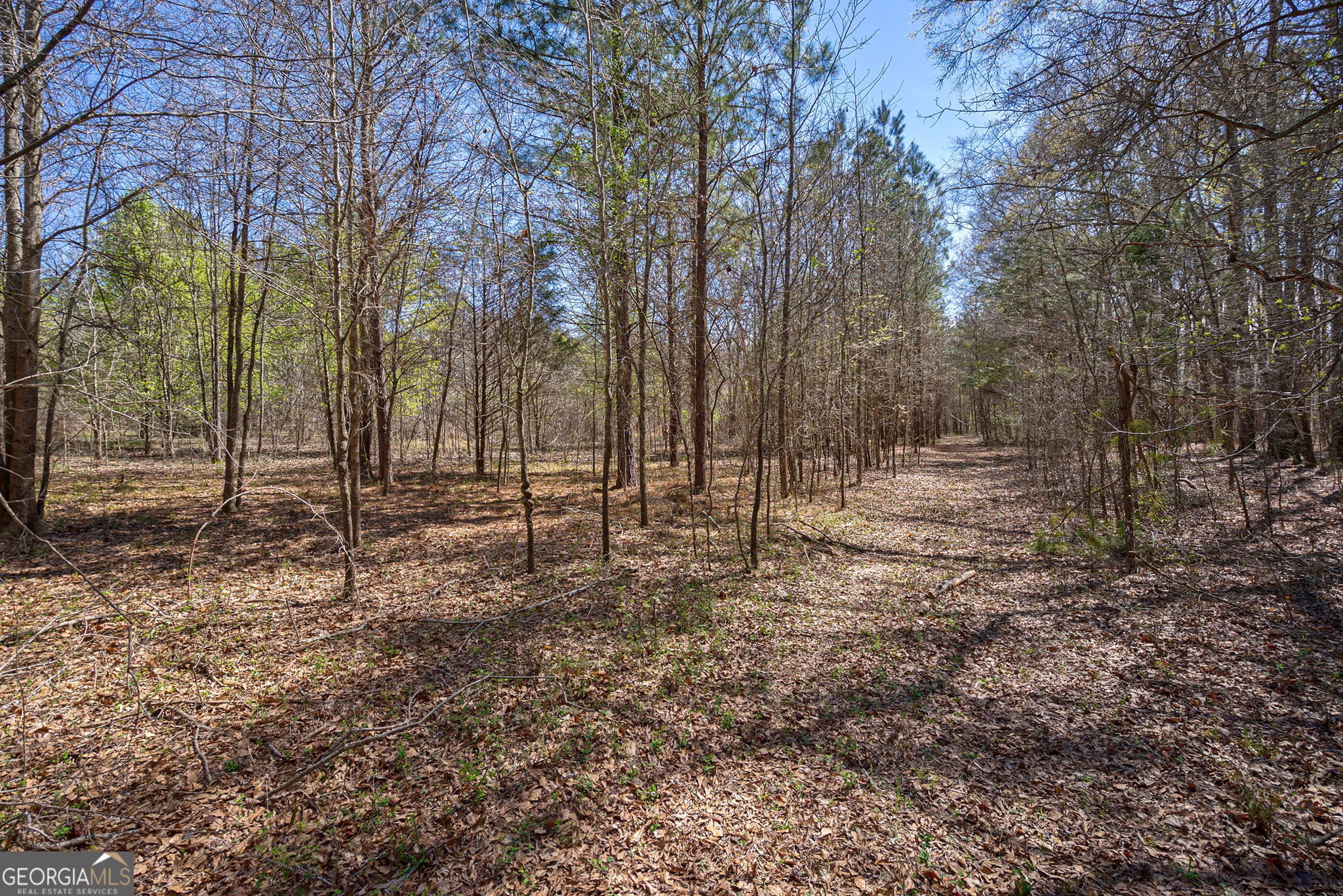 0 Poplar Street Monroe, GA 30655 - Photo 9 of 20