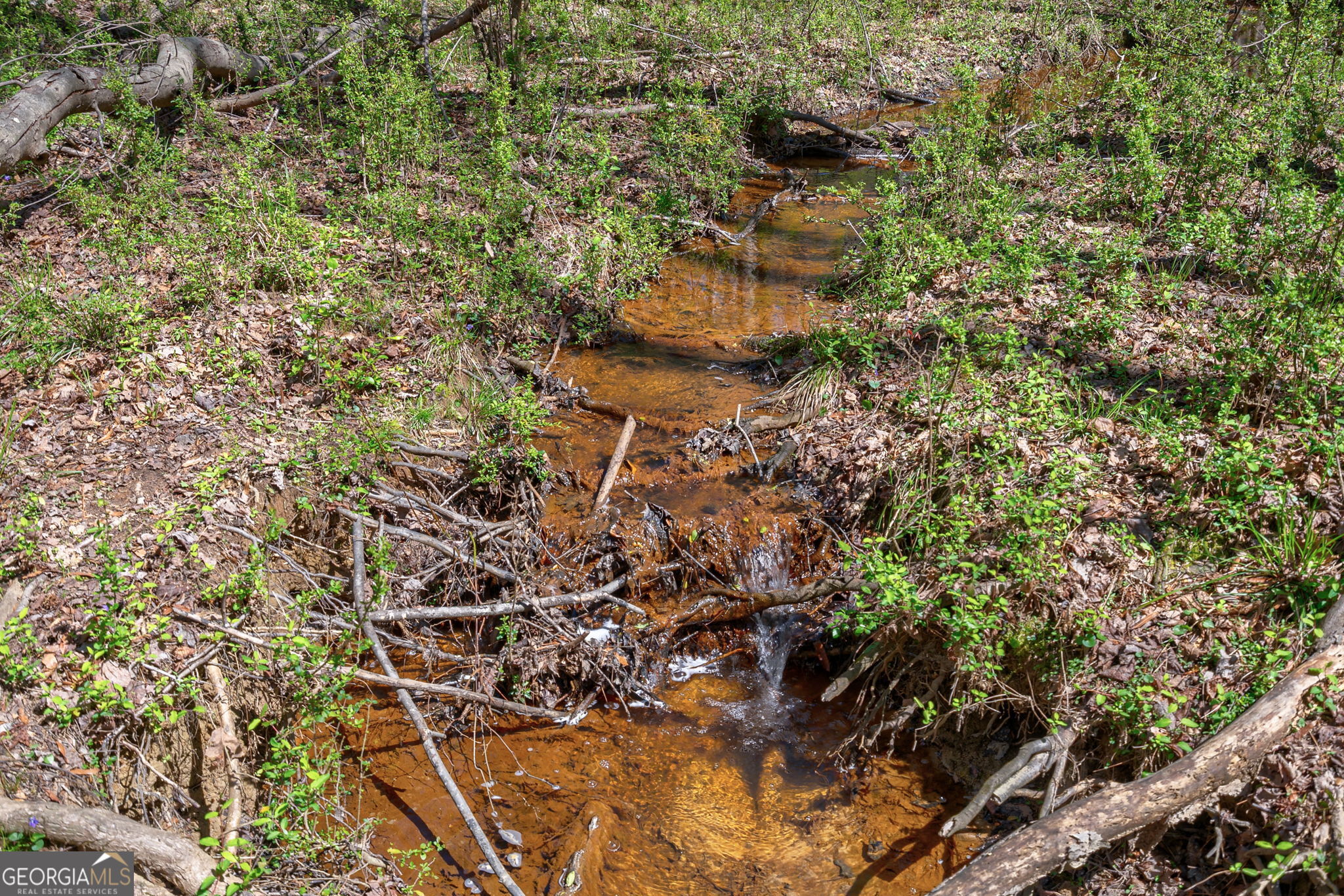 0 Poplar Street Monroe, GA 30655 - Photo 10 of 20