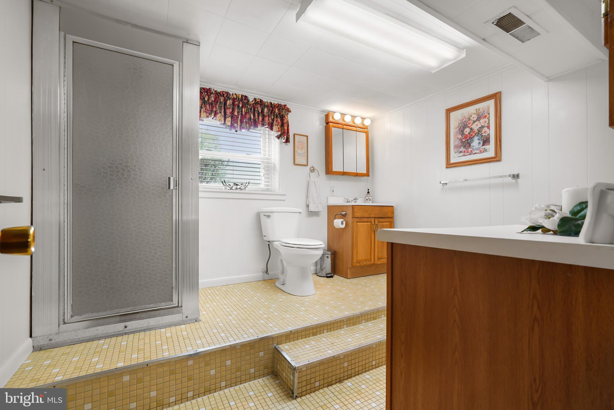 9 Cherry Lane Elkton, MD 21921 - Photo 17 of 26 downstairs bathroom