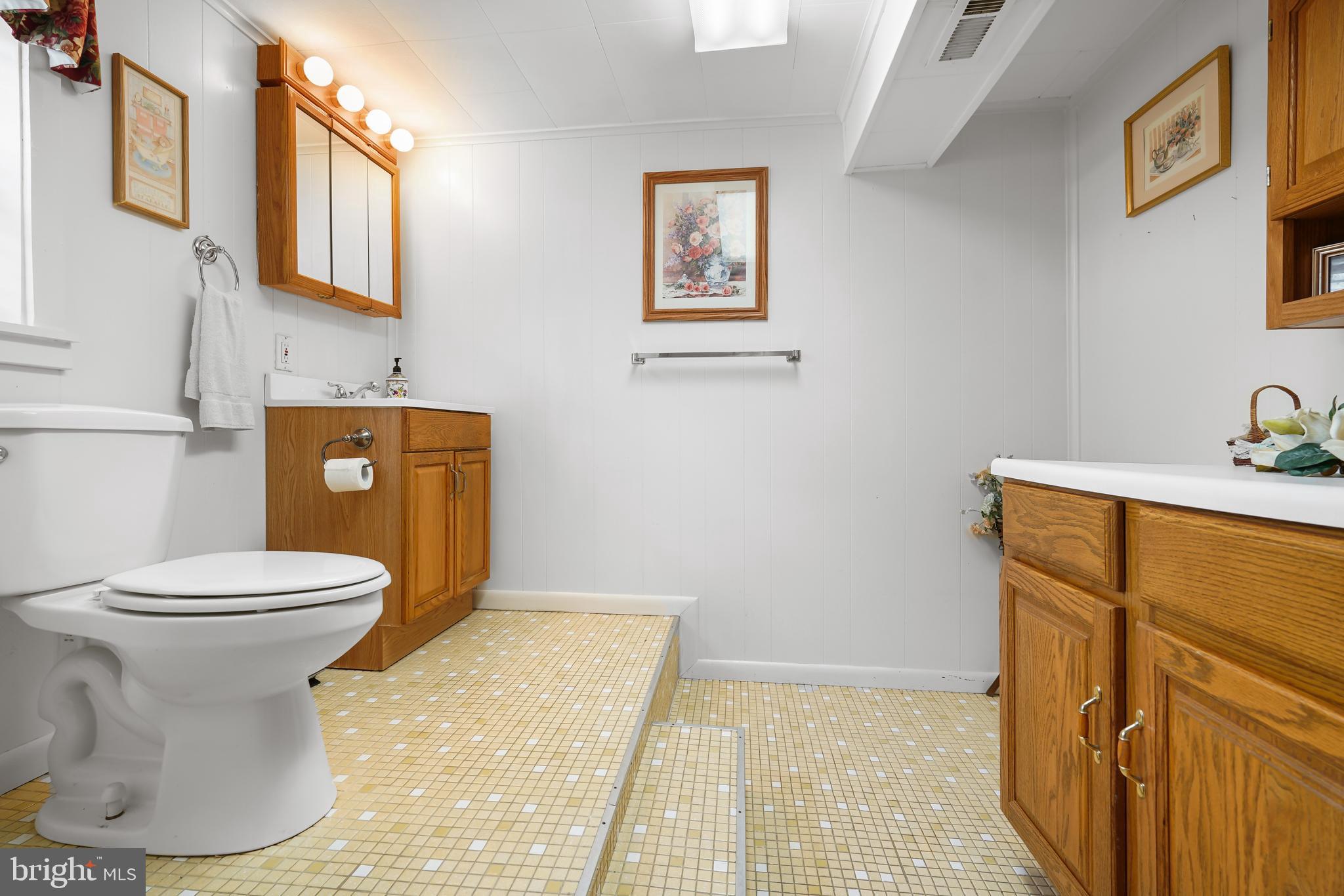 9 Cherry Lane Elkton, MD 21921 - Photo 18 of 26 downstairs bathroom