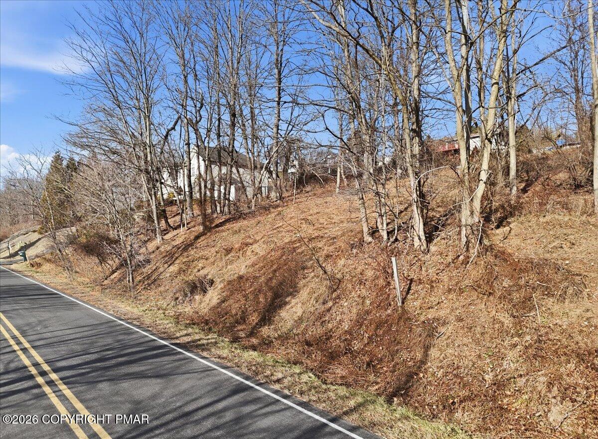 517 Edgemont Road Stroudsburg, PA 18360 - Photo 3 of 20 a view of a yard with trees