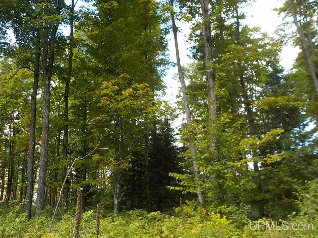 80-ac Mcclaren Road Crystal Falls, MI 49920 - Photo 10 of 27