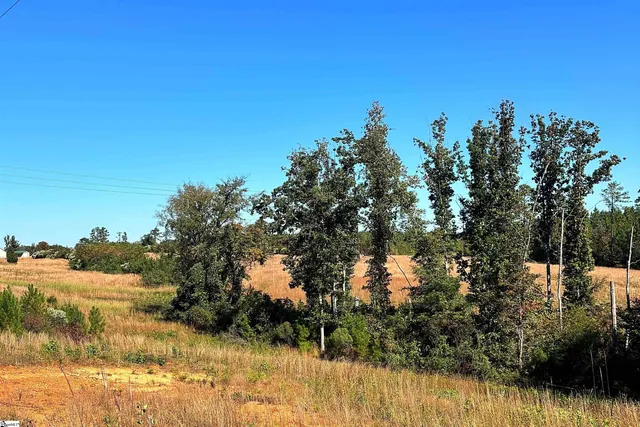 $416,000 | 0 Riverfork Road, Waterloo, SC 29384