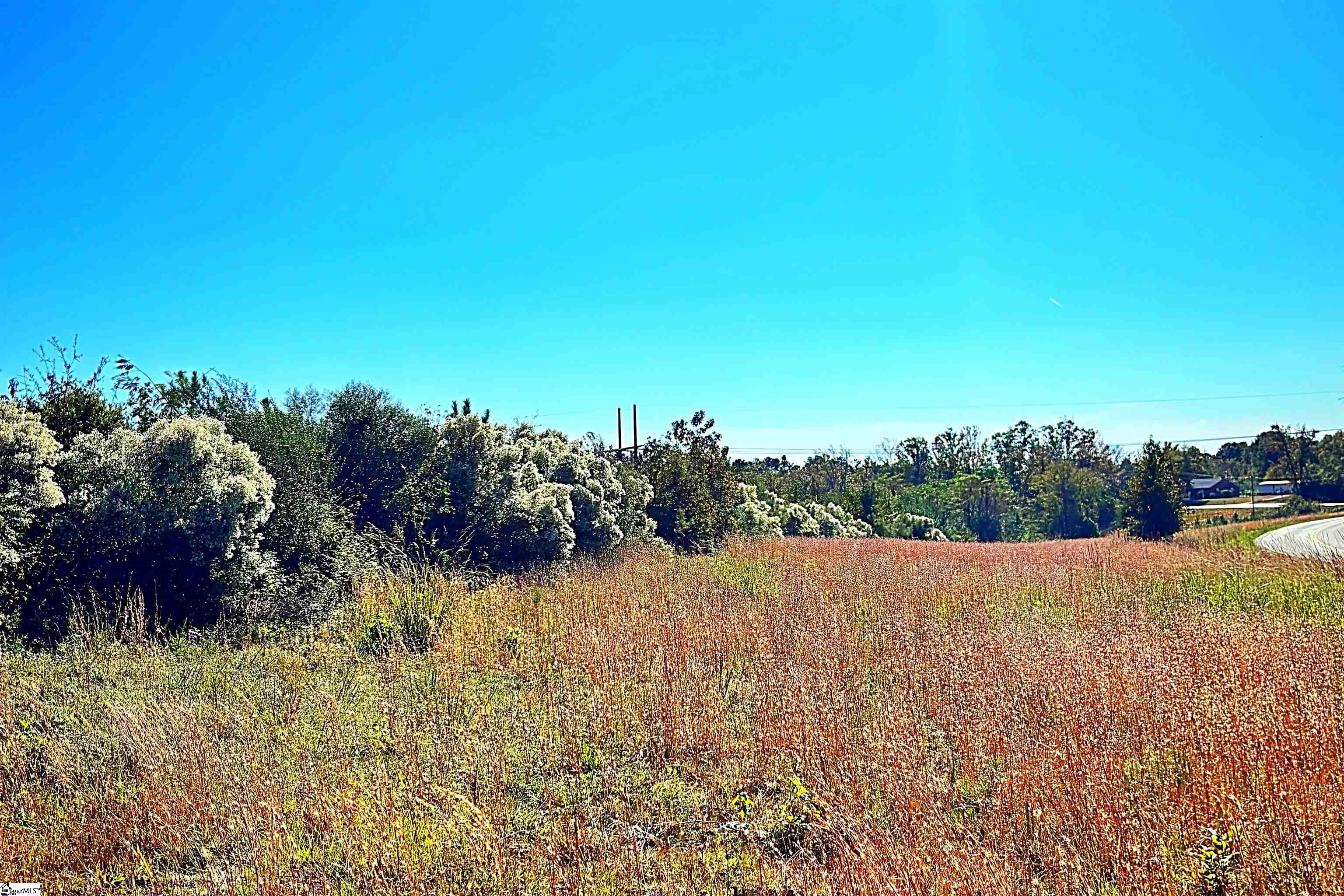 0 Riverfork Road Waterloo, SC 29384 - Photo 3 of 5