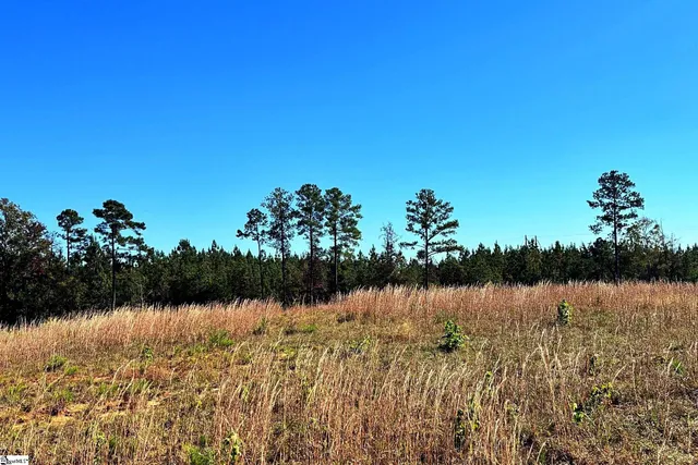 $416,000 | 0 Riverfork Road, Waterloo, SC 29384