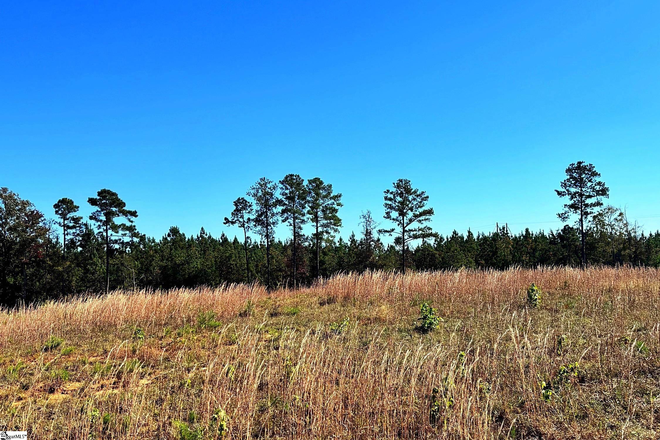 0 Riverfork Road Waterloo, SC 29384 - Photo 4 of 5