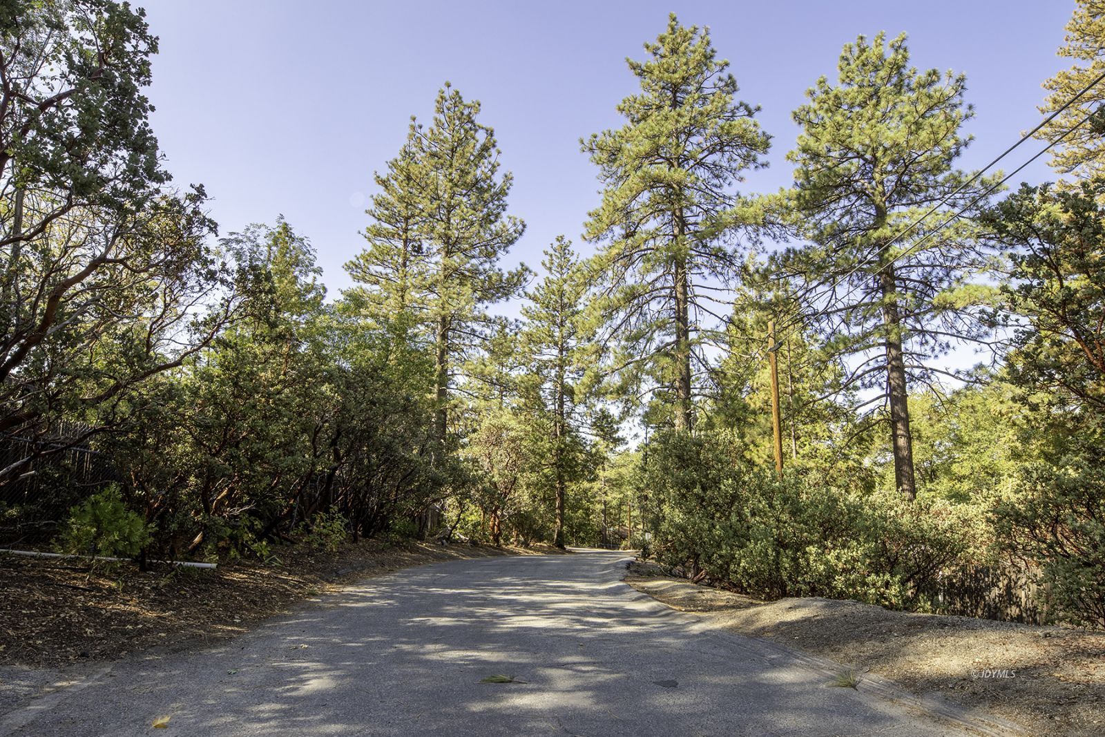 25180 Glen Road Idyllwild, CA 92549 - Photo 1 of 45 a view of a field with trees in the background