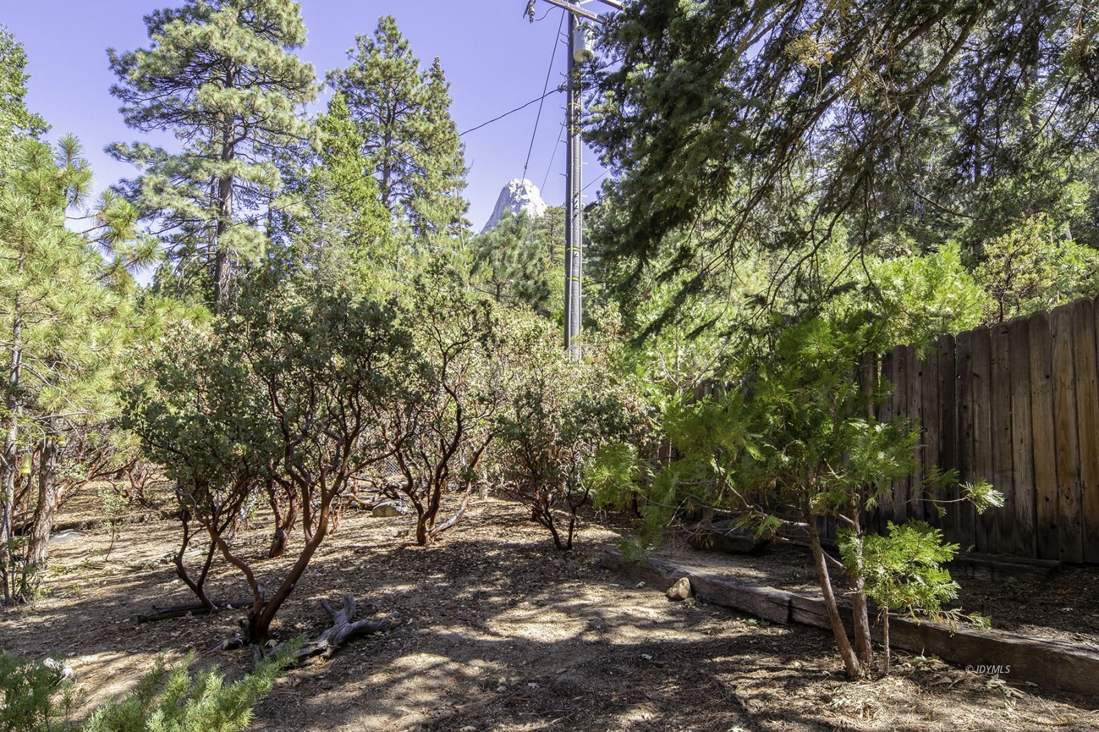 25180 Glen Road Idyllwild, CA 92549 - Photo 23 of 45 a backyard of a house with lots of green space