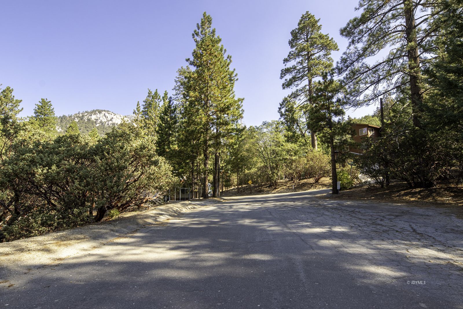 25180 Glen Road Idyllwild, CA 92549 - Photo 24 of 45 a view of outdoor space with trees all around