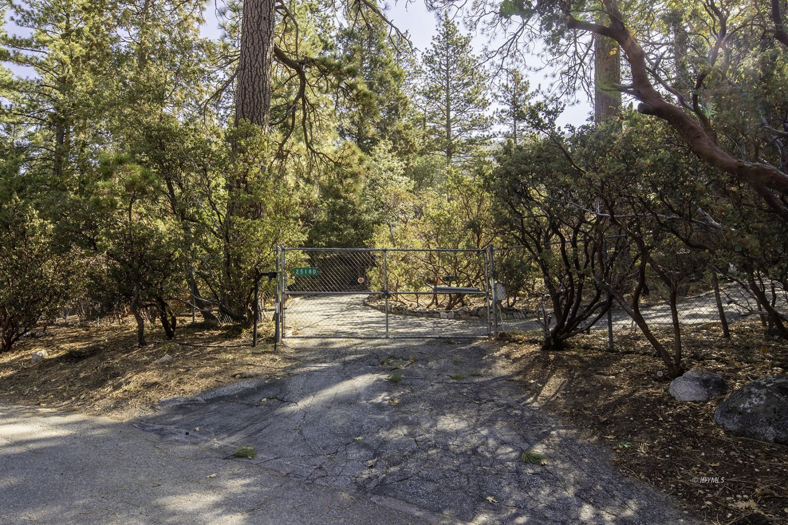 25180 Glen Road Idyllwild, CA 92549 - Photo 25 of 45 a view of dirt yard with a tree