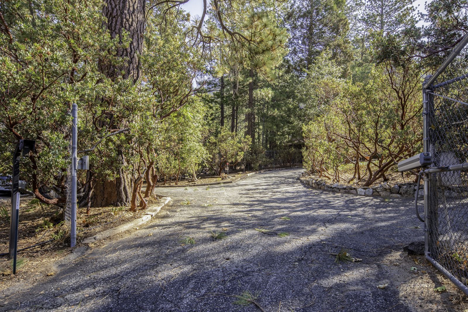25180 Glen Road Idyllwild, CA 92549 - Photo 27 of 45 a view of a yard with trees