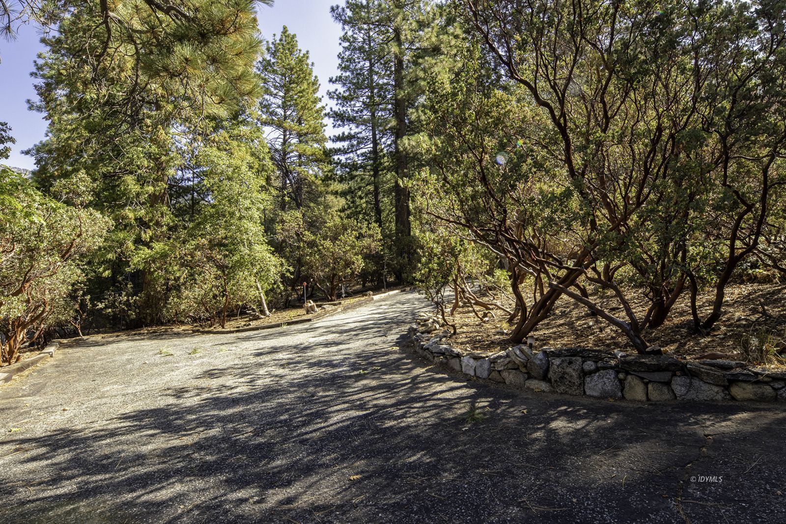 25180 Glen Road Idyllwild, CA 92549 - Photo 28 of 45 a view of a yard with a tree