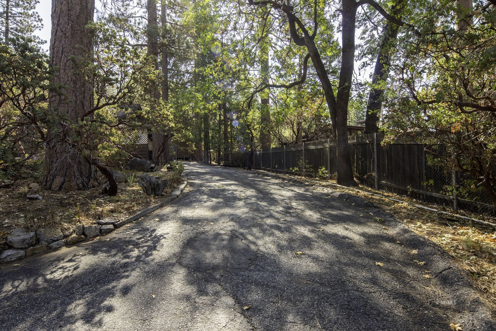 25180 Glen Road Idyllwild, CA 92549 - Photo 29 of 45 a backyard of a house with lots of green space