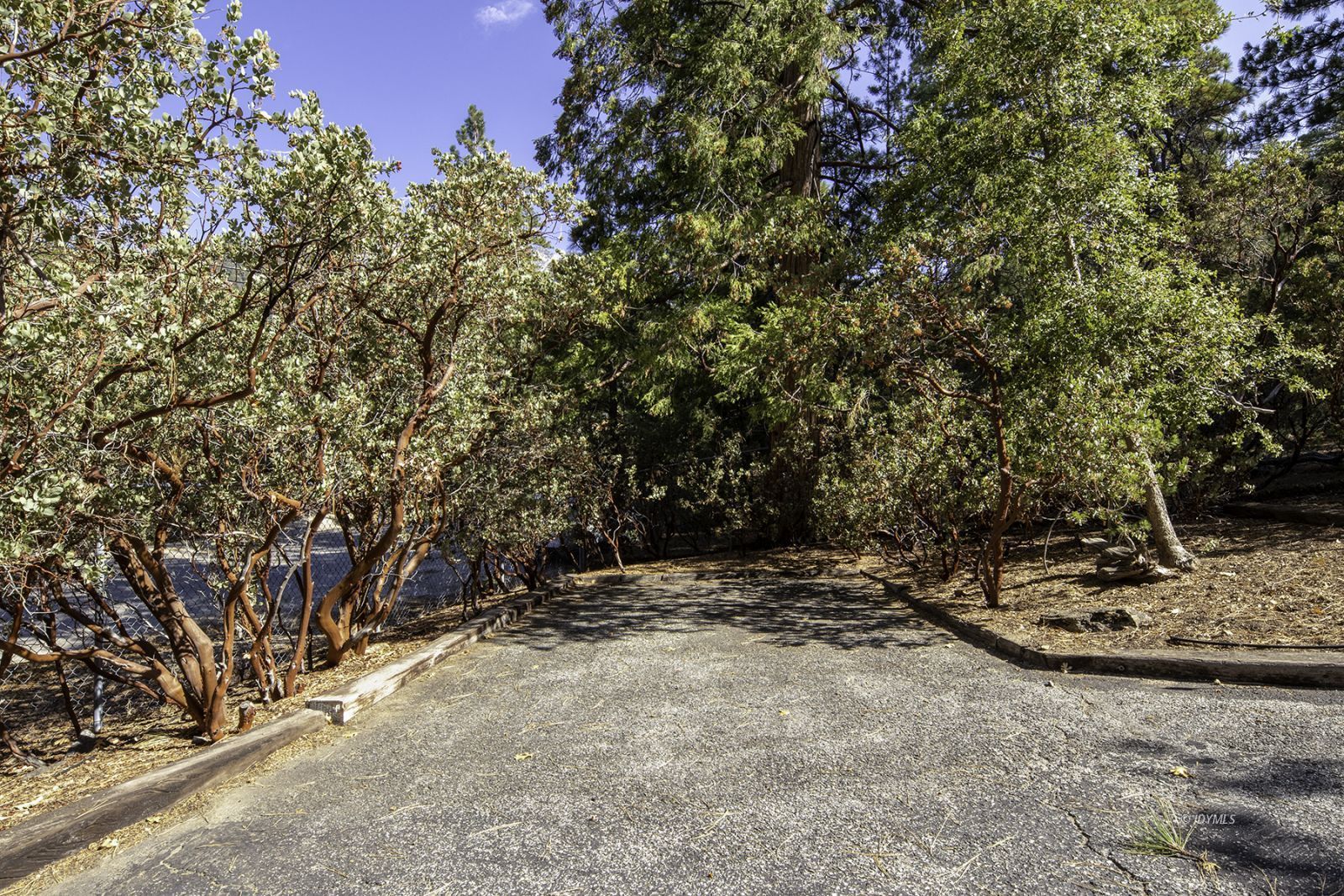 25180 Glen Road Idyllwild, CA 92549 - Photo 30 of 45 a view of outdoor space and yard