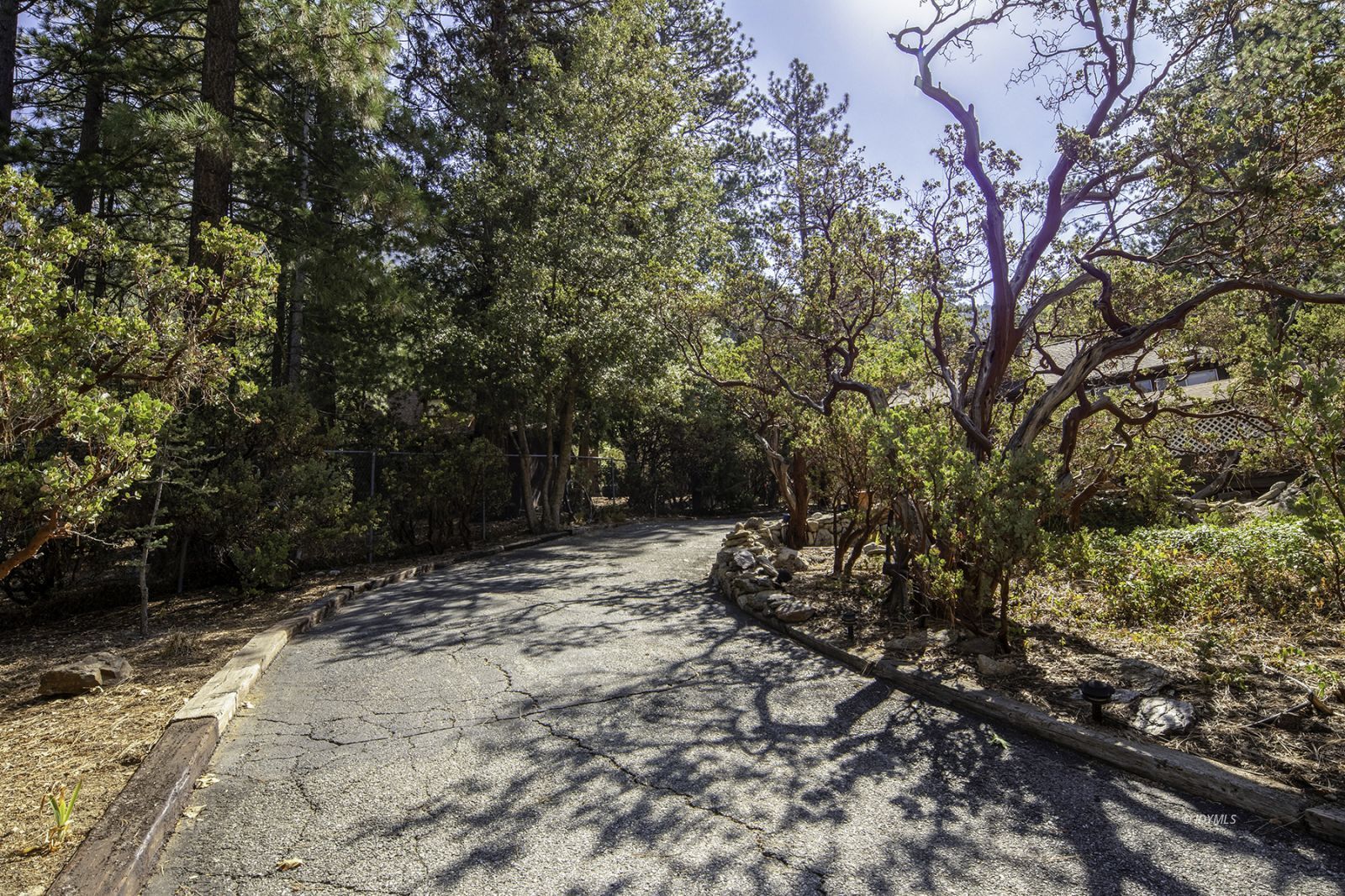 25180 Glen Road Idyllwild, CA 92549 - Photo 31 of 45 a backyard of a house with lots of green space