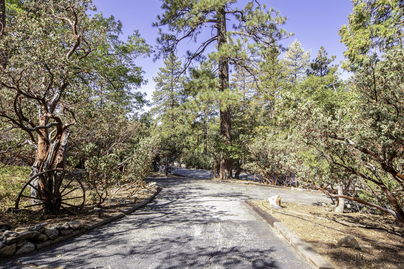 25180 Glen Road Idyllwild, CA 92549 - Photo 32 of 45