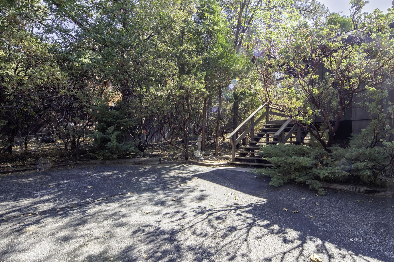 25180 Glen Road Idyllwild, CA 92549 - Photo 33 of 45 a view of a park with large trees
