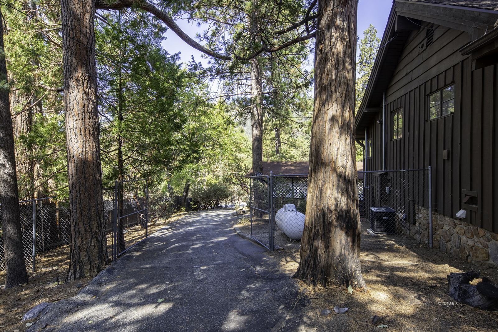 25180 Glen Road Idyllwild, CA 92549 - Photo 36 of 45 a view of a yard with plants and trees