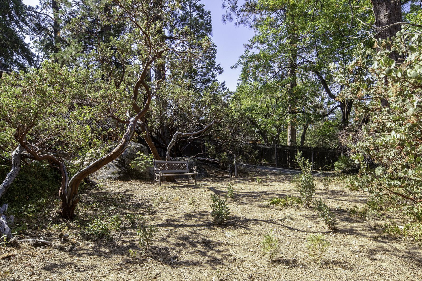 25180 Glen Road Idyllwild, CA 92549 - Photo 44 of 45 a view of outdoor space and yard