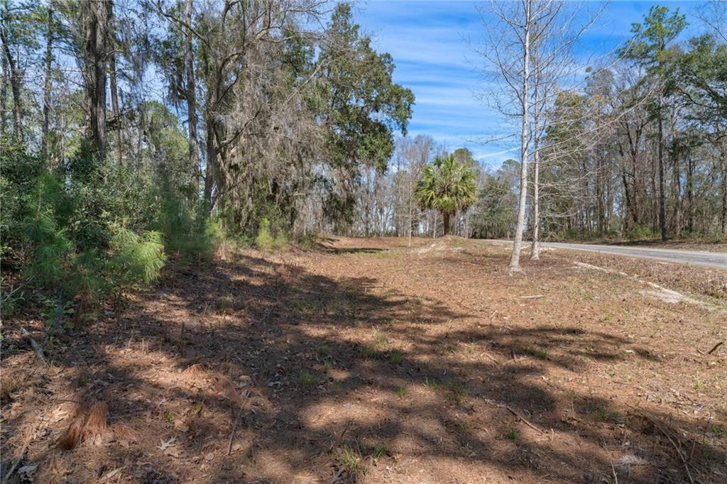 1 South Newport Road Townsend, GA 31331 - Photo 5 of 31 Photo 5