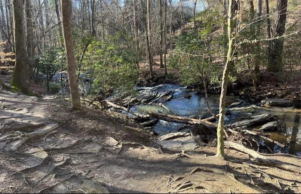 9885 Nature Mill Road Johns Creek, GA 30022 - Photo 59 of 78