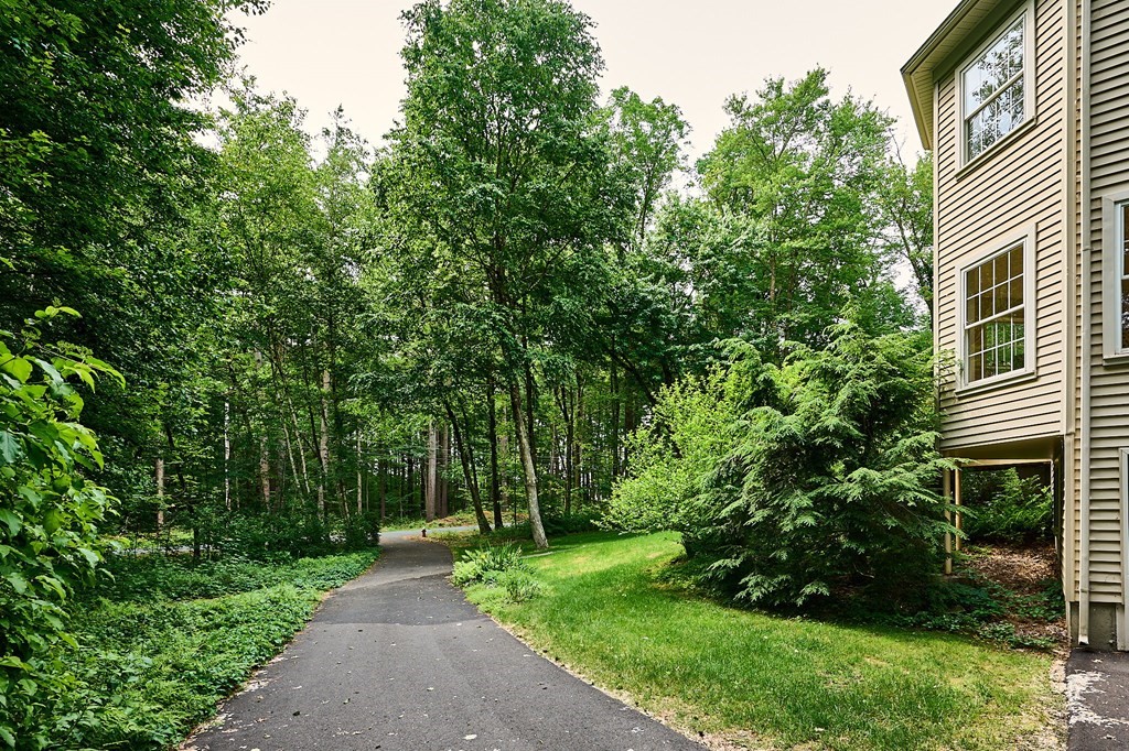 37 Shattuck Road Hadley, MA 01035 - Photo 33 of 42 a view of a back yard