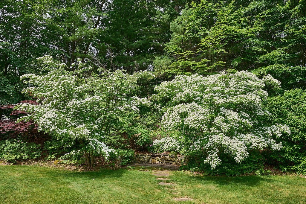 37 Shattuck Road Hadley, MA 01035 - Photo 38 of 42 a view of a garden