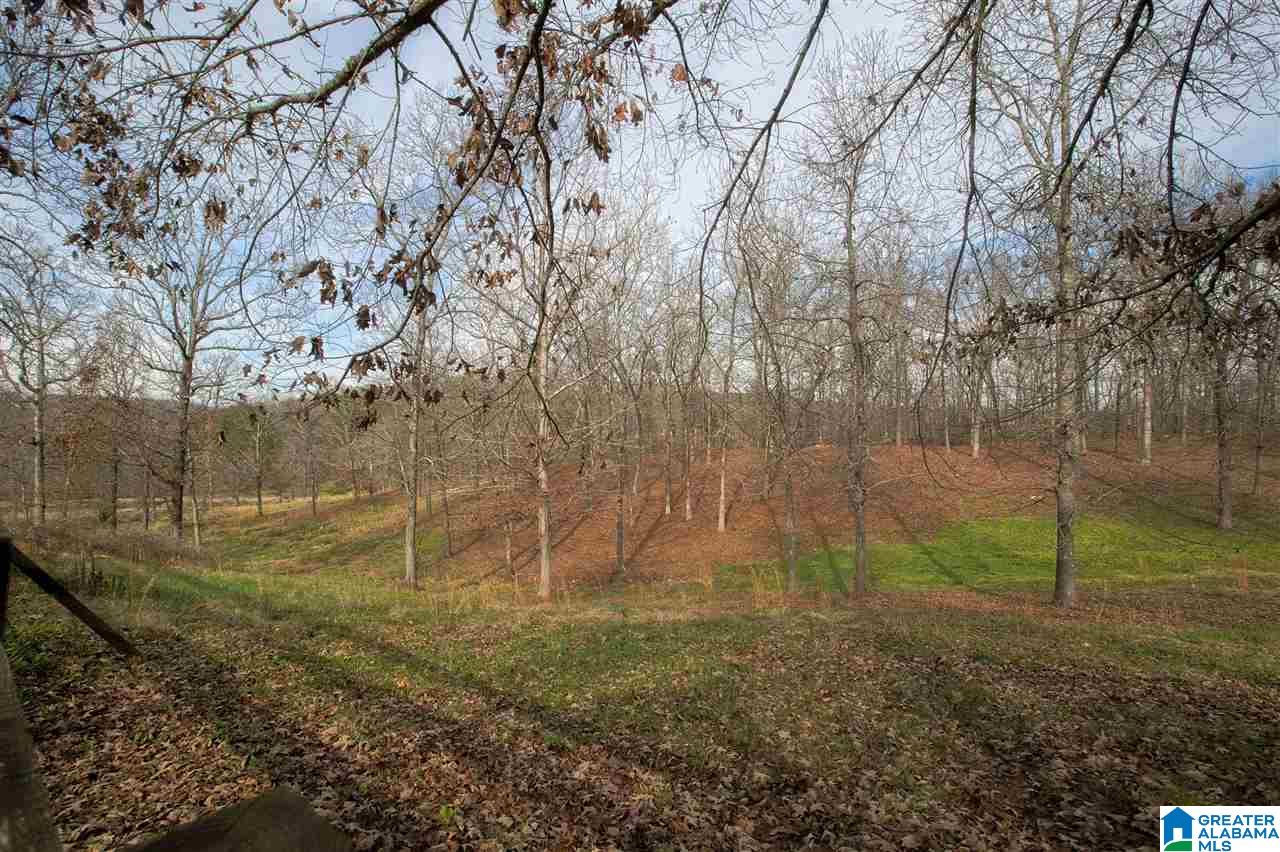1850 Highway 132 Oneonta, AL 35121 - Photo 9 of 43