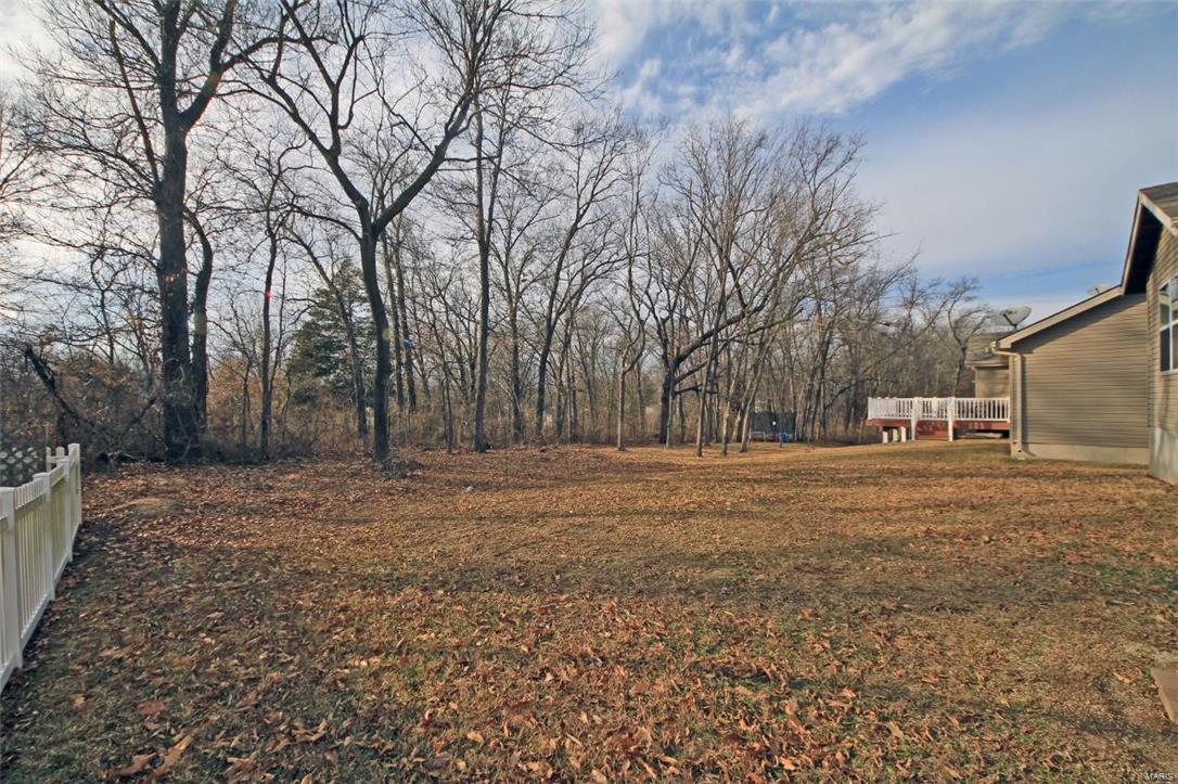 542 Springhurst Parkway O'Fallon, MO 63368 - Photo 13 of 14
