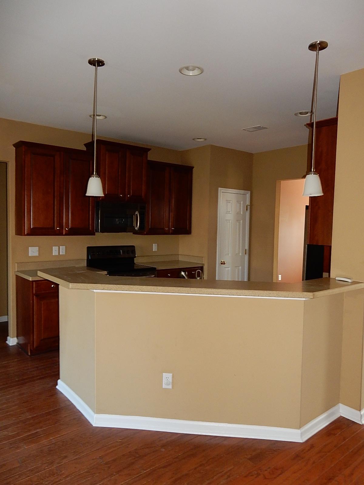 1505 St Stephens Way Hanahan, SC 29410 - Photo 6 of 25 Kitchen View 1