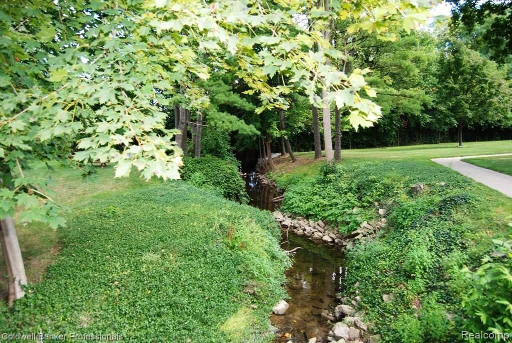 1199 South Sheldon Road, Unit 41 Plymouth, MI 48170 - Photo 5 of 17 Gorgeous creek and nature