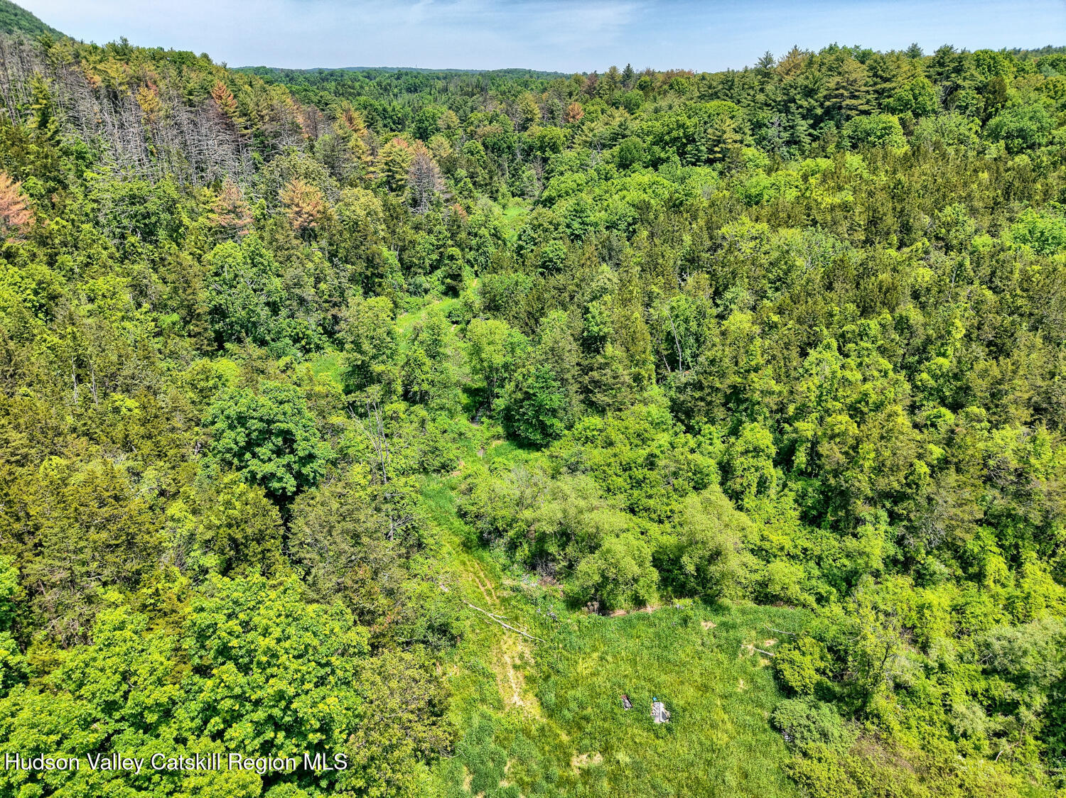 760 Vedder Mountain Road Catskill, NY 12414 - Photo 64 of 80 DJI_20260604125814_0407_D_8_D_9_D_easyHD