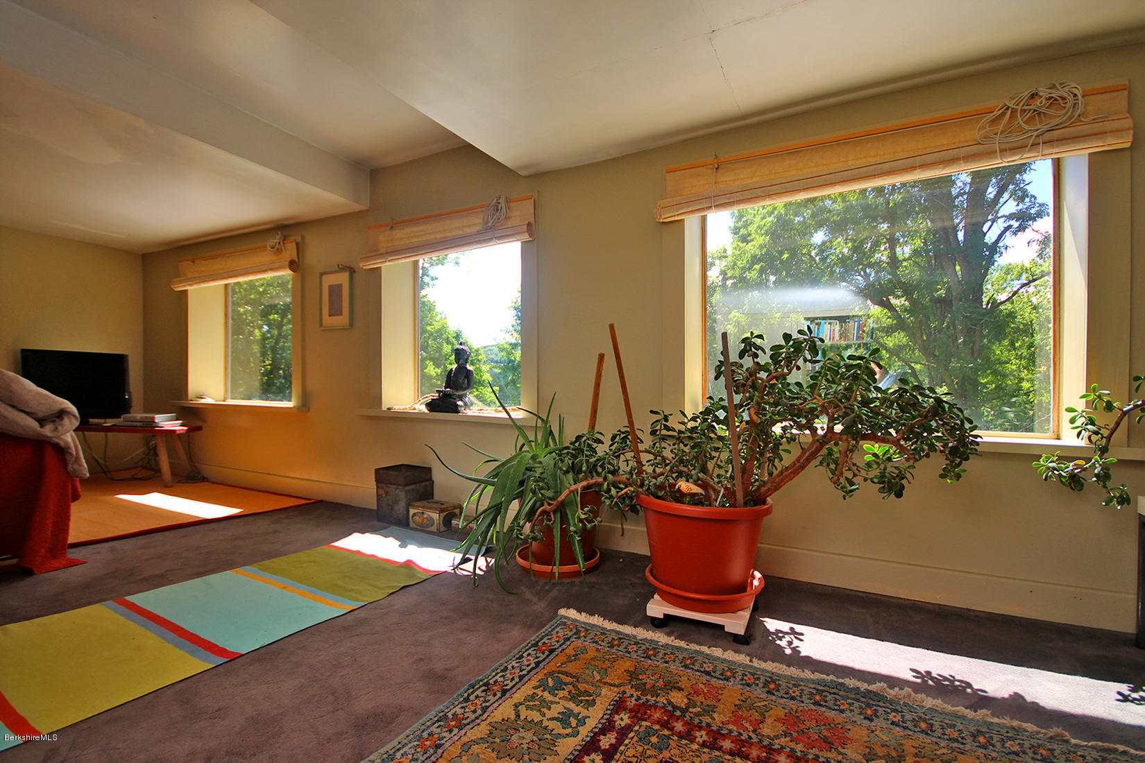 47 Main Road Tyringham, MA 01238 - Photo 20 of 31 a living room with a floor to ceiling window and potted plant