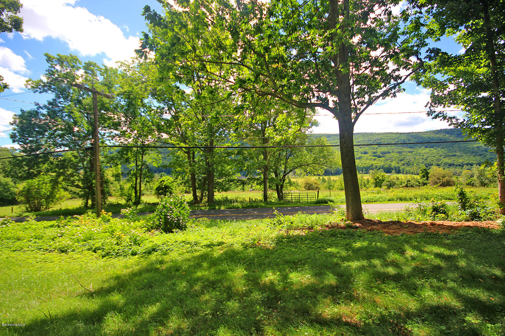 47 Main Road Tyringham, MA 01238 - Photo 31 of 31 a view of backyard with large trees