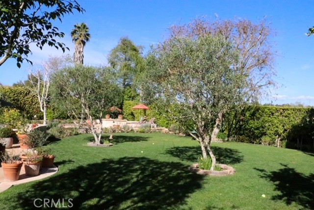 31382 Old San Juan Road San Juan Capistrano, CA 92675 - Photo 7 of 10