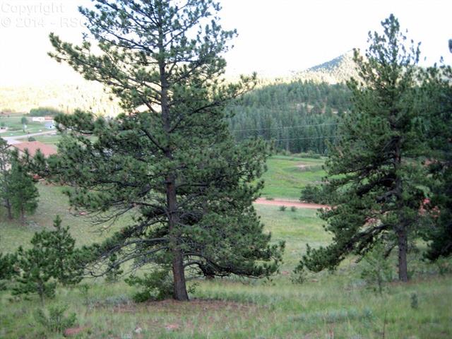 67 Independence Road Cripple Creek, CO 80813 - Photo 7 of 11