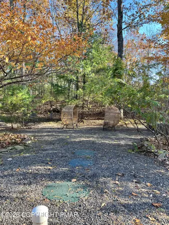 a picture of a park